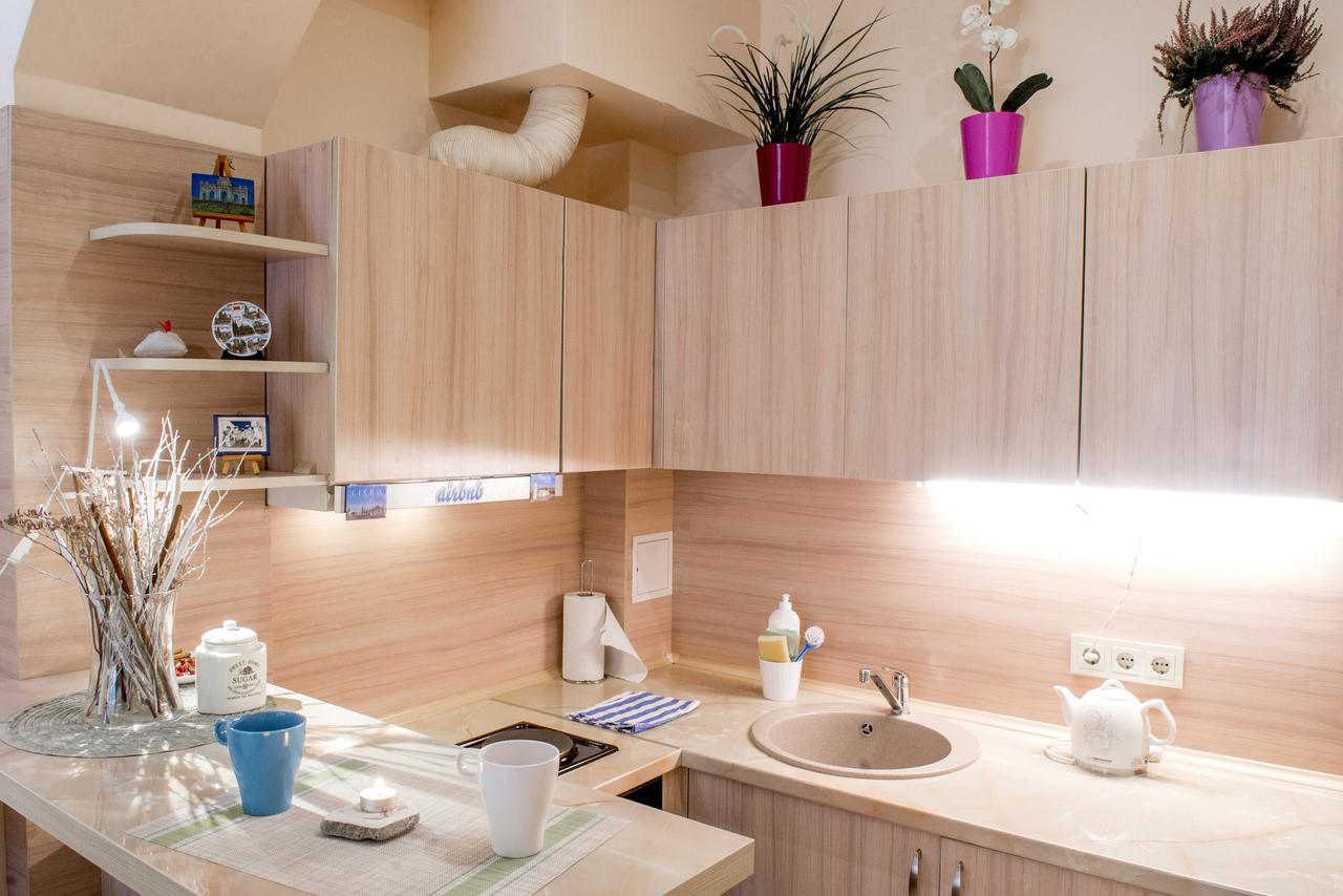 Apartment Mini Loft Wilna