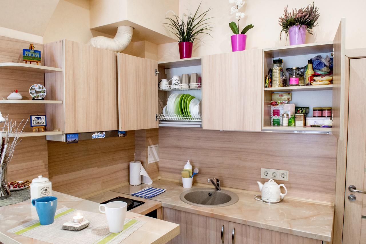 Mini Loft Apartment Wilna